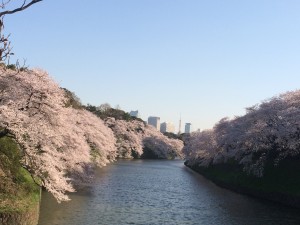 IMG_3710