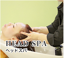 HEAD SPA
