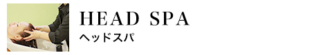 HEAD SPA